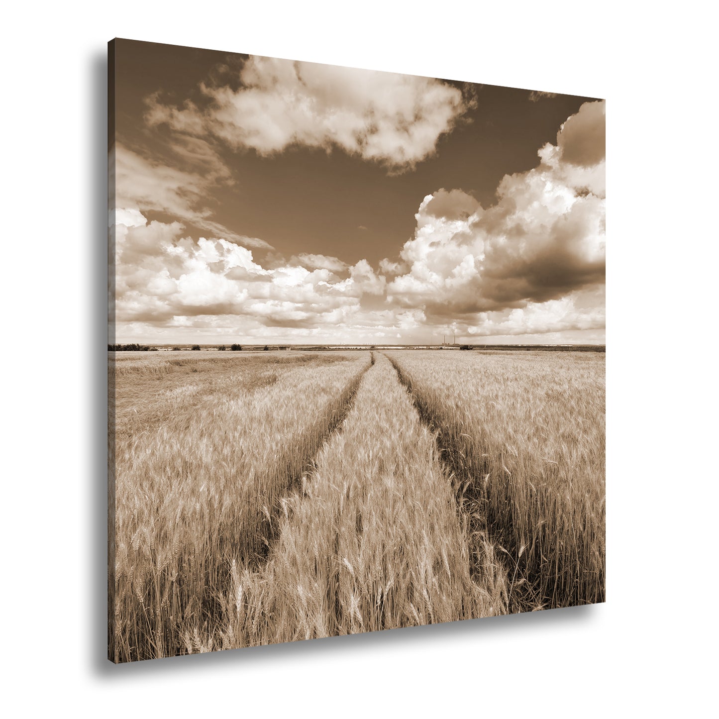 Hauptbild Sepia Quadratisch