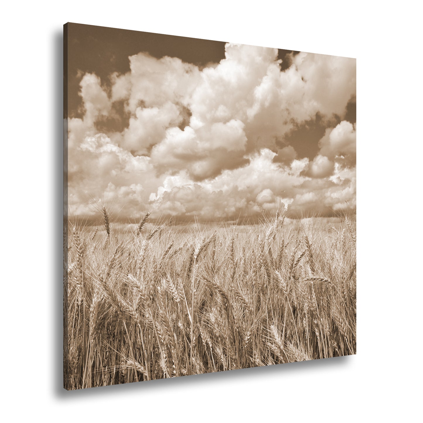 Hauptbild Sepia Quadratisch