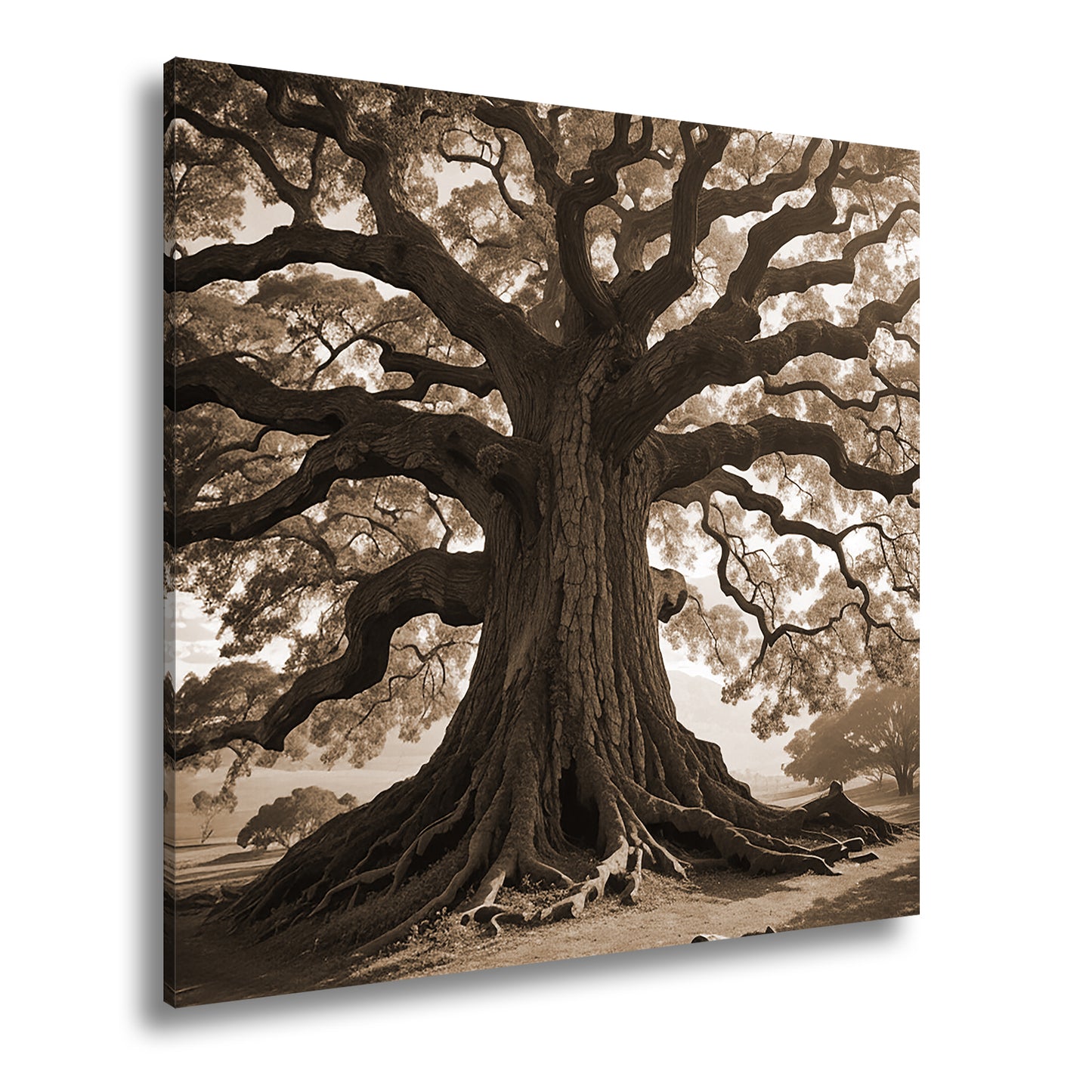 Hauptbild Sepia Quadratisch