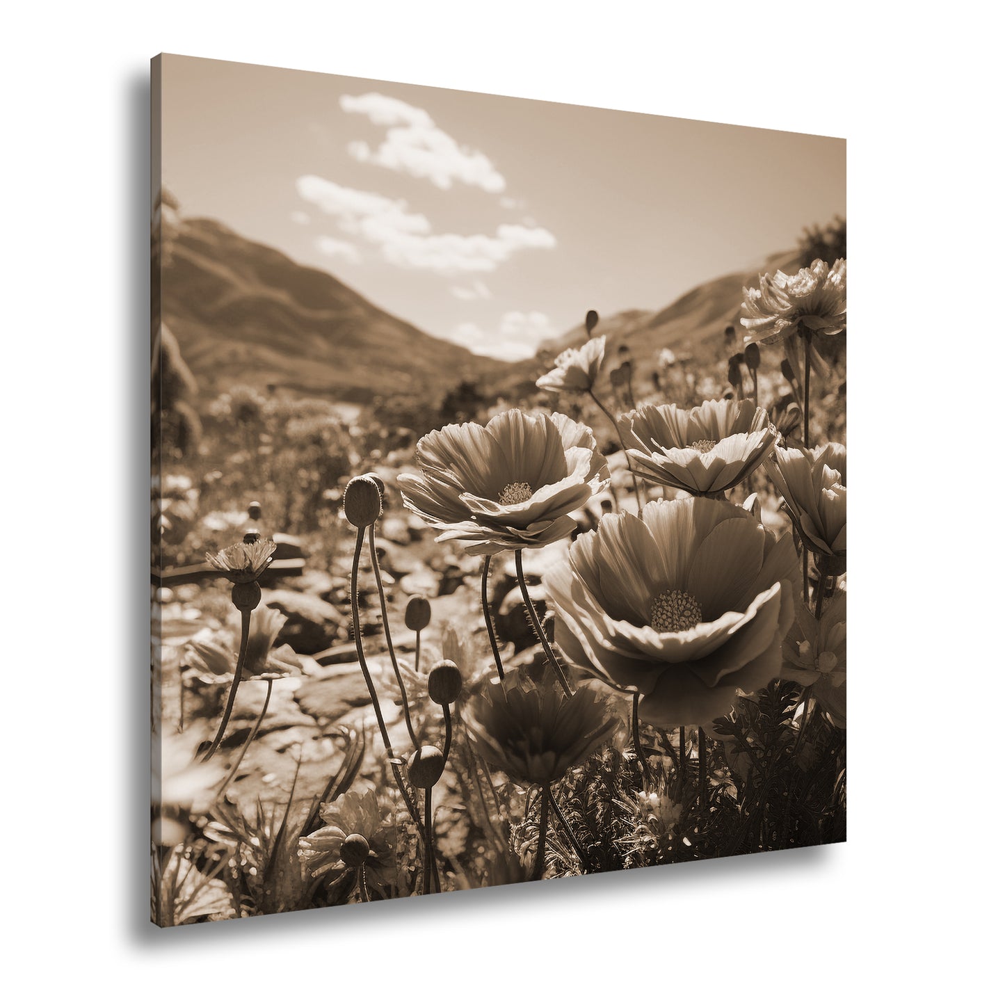 Hauptbild Sepia Quadratisch