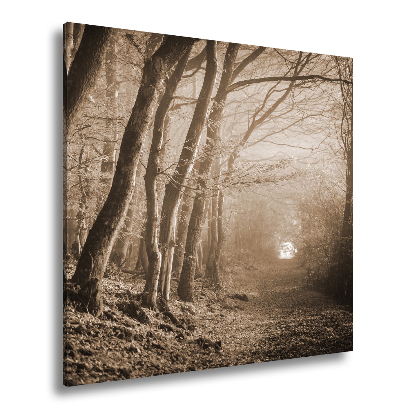 Hauptbild Sepia Quadratisch