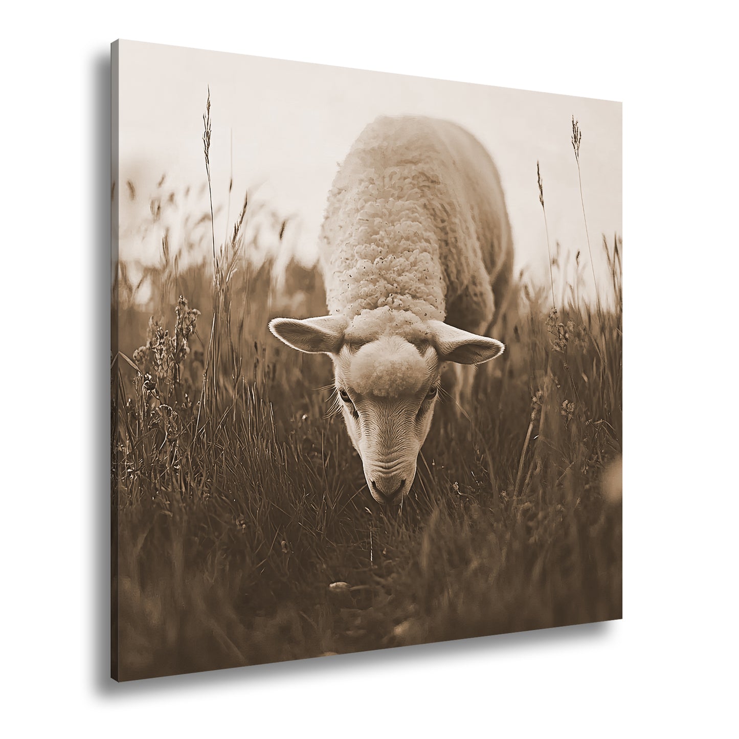 Hauptbild Sepia Quadratisch
