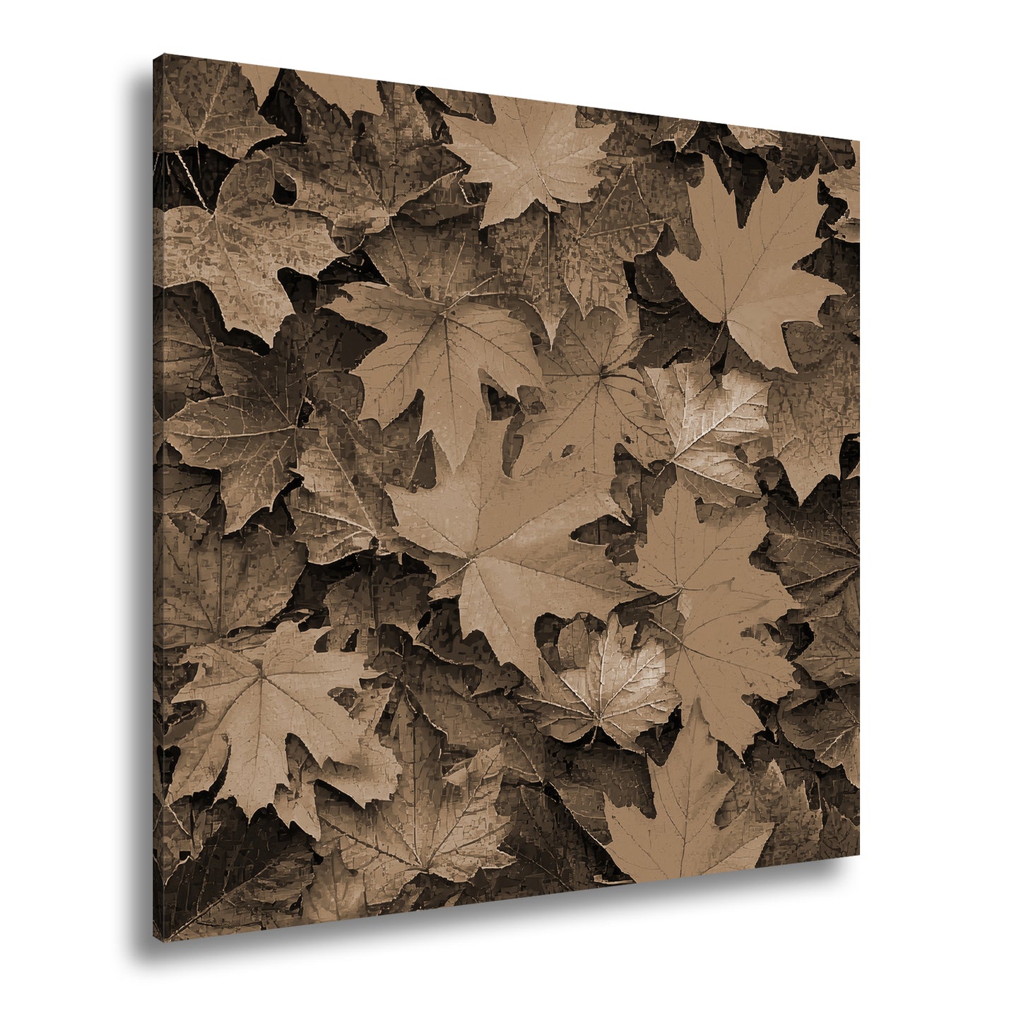 Hauptbild Sepia Quadratisch