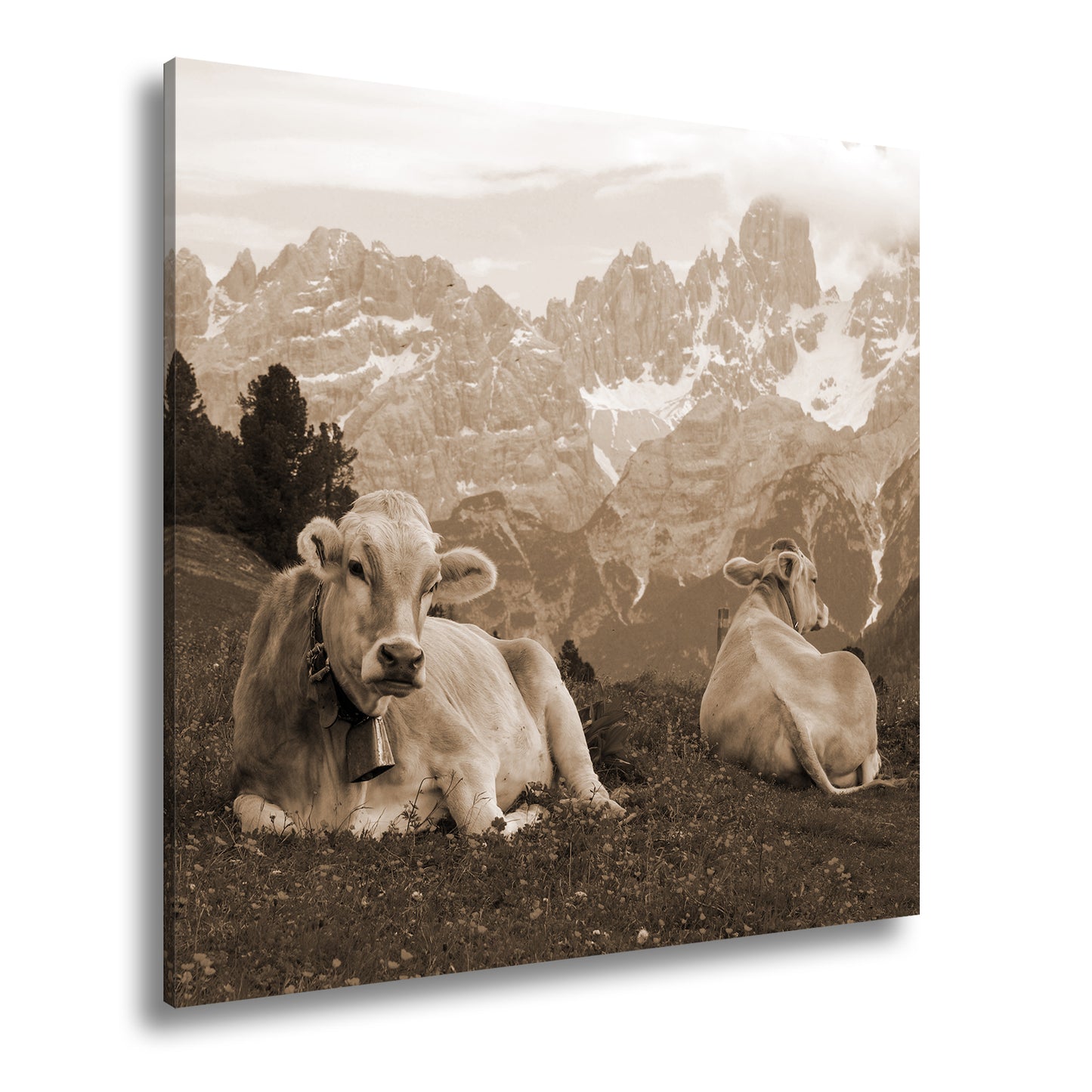 Hauptbild Sepia Quadratisch