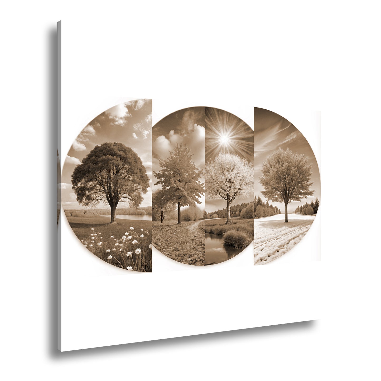 Hauptbild Sepia Quadratisch