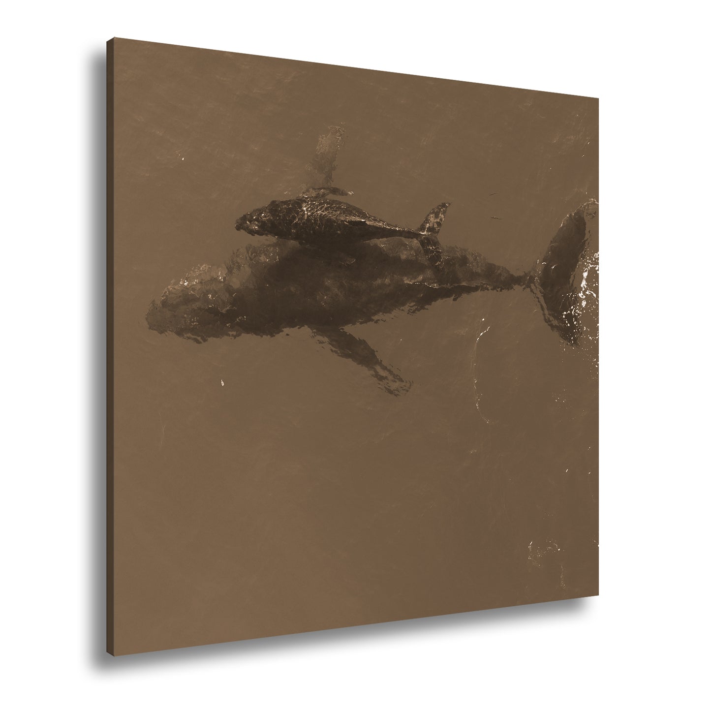 Hauptbild Sepia Quadratisch
