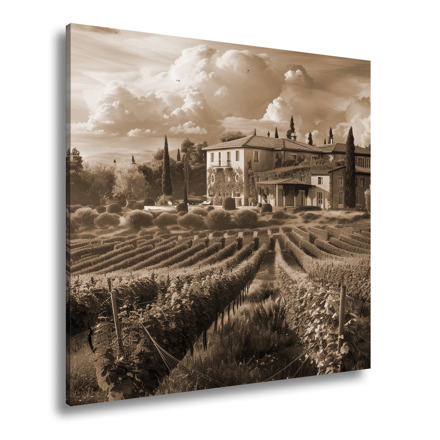 Hauptbild Sepia Quadratisch