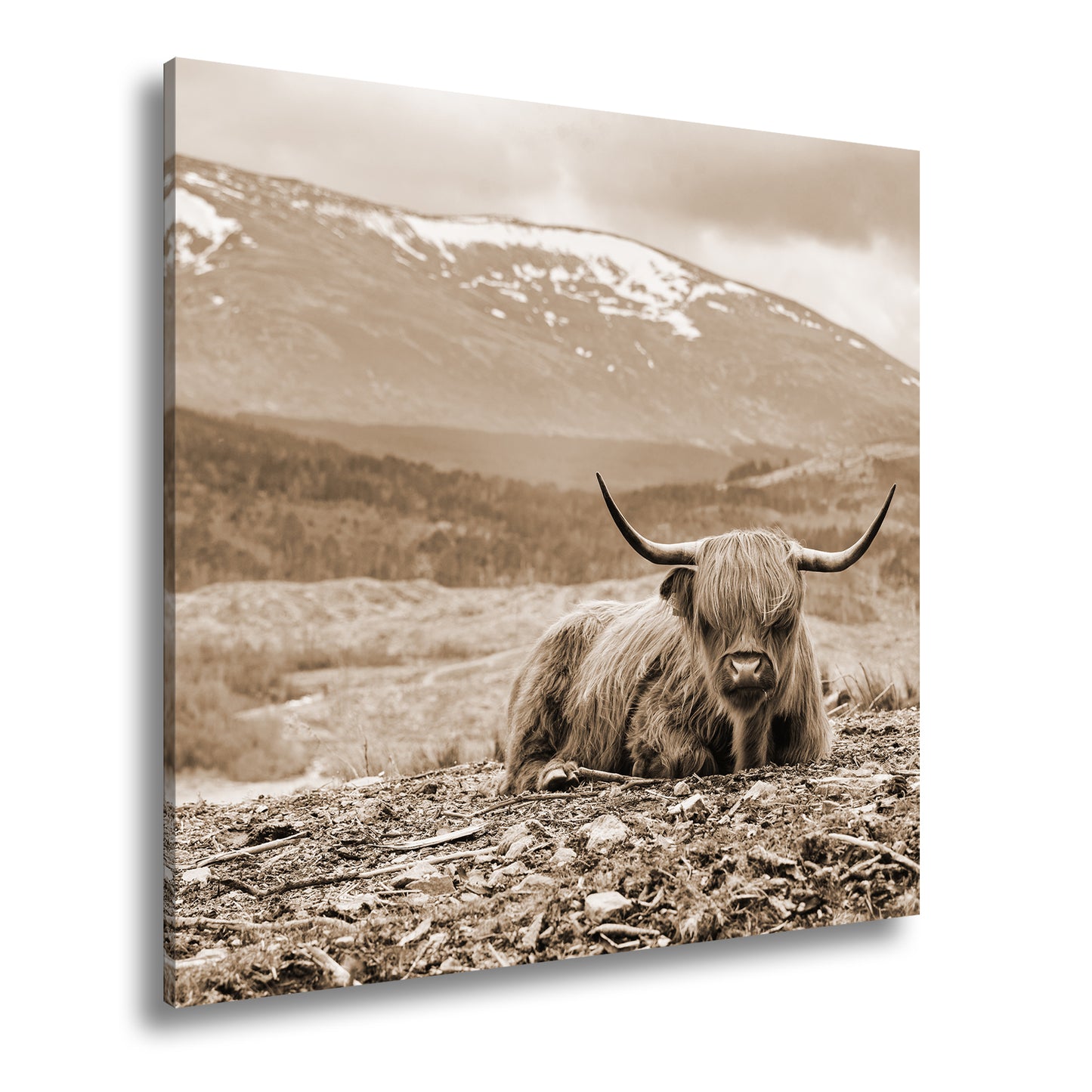 Hauptbild Sepia Quadratisch