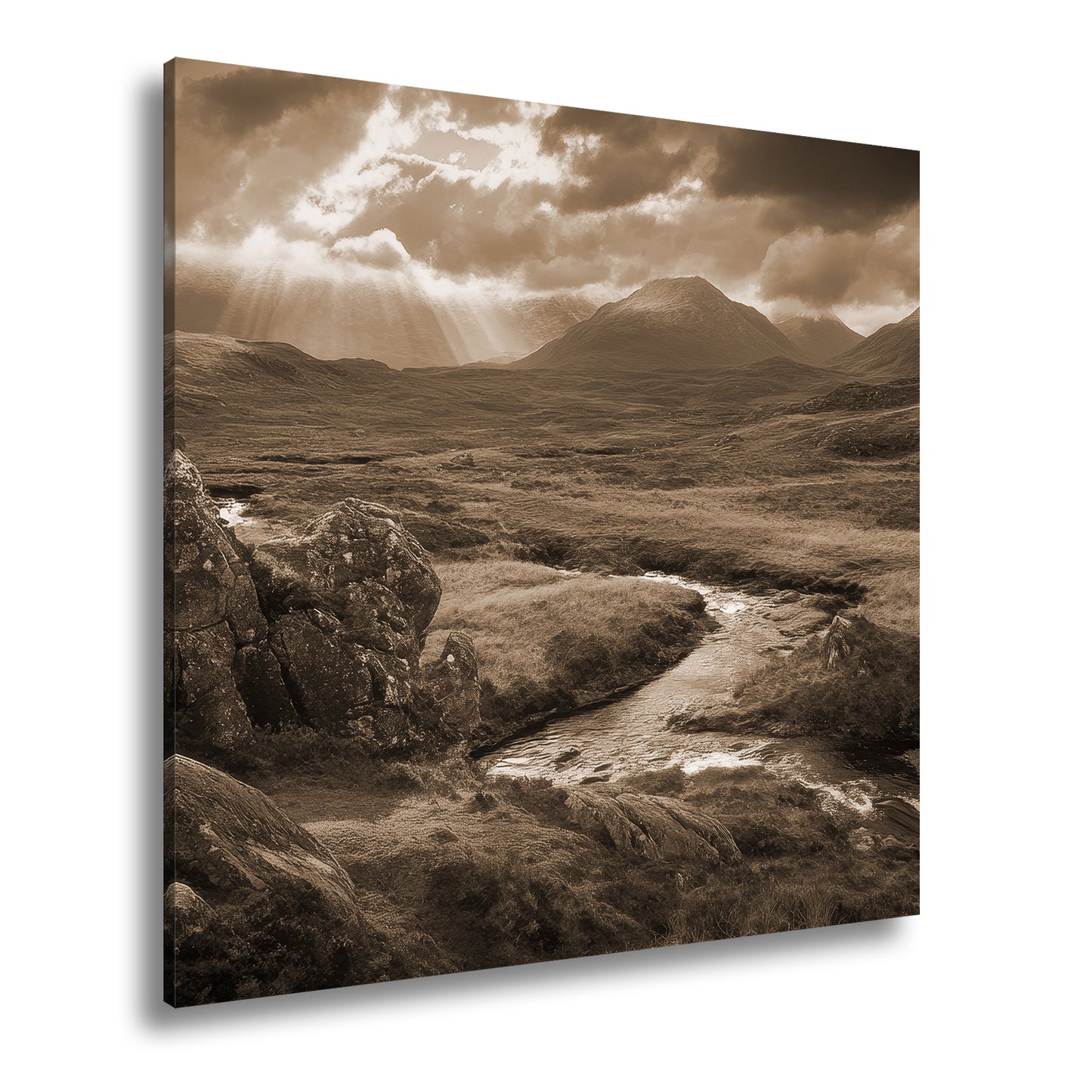 Hauptbild Sepia Quadratisch