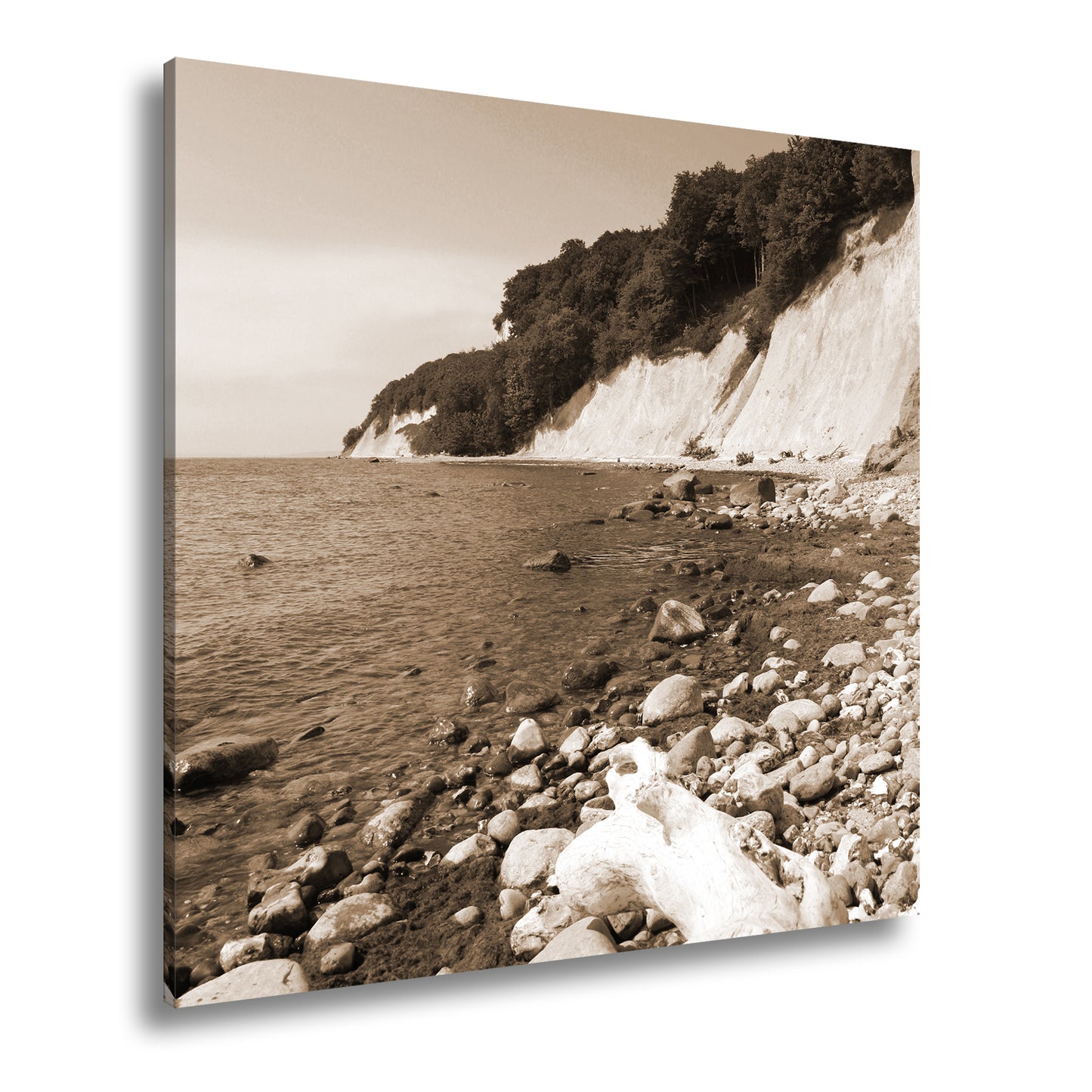 Hauptbild Sepia Quadratisch