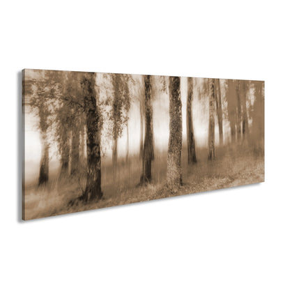 Hauptbild Sepia Panorama