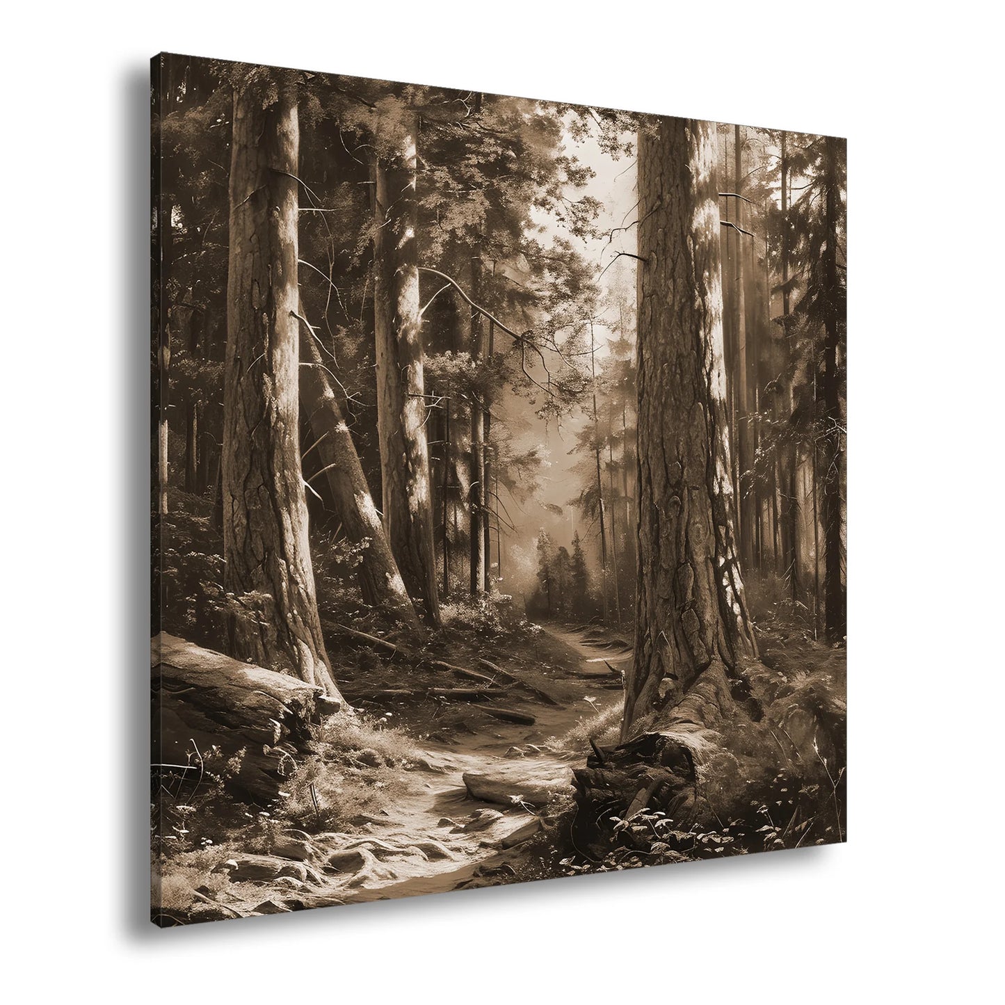Hauptbild Sepia Quadratisch