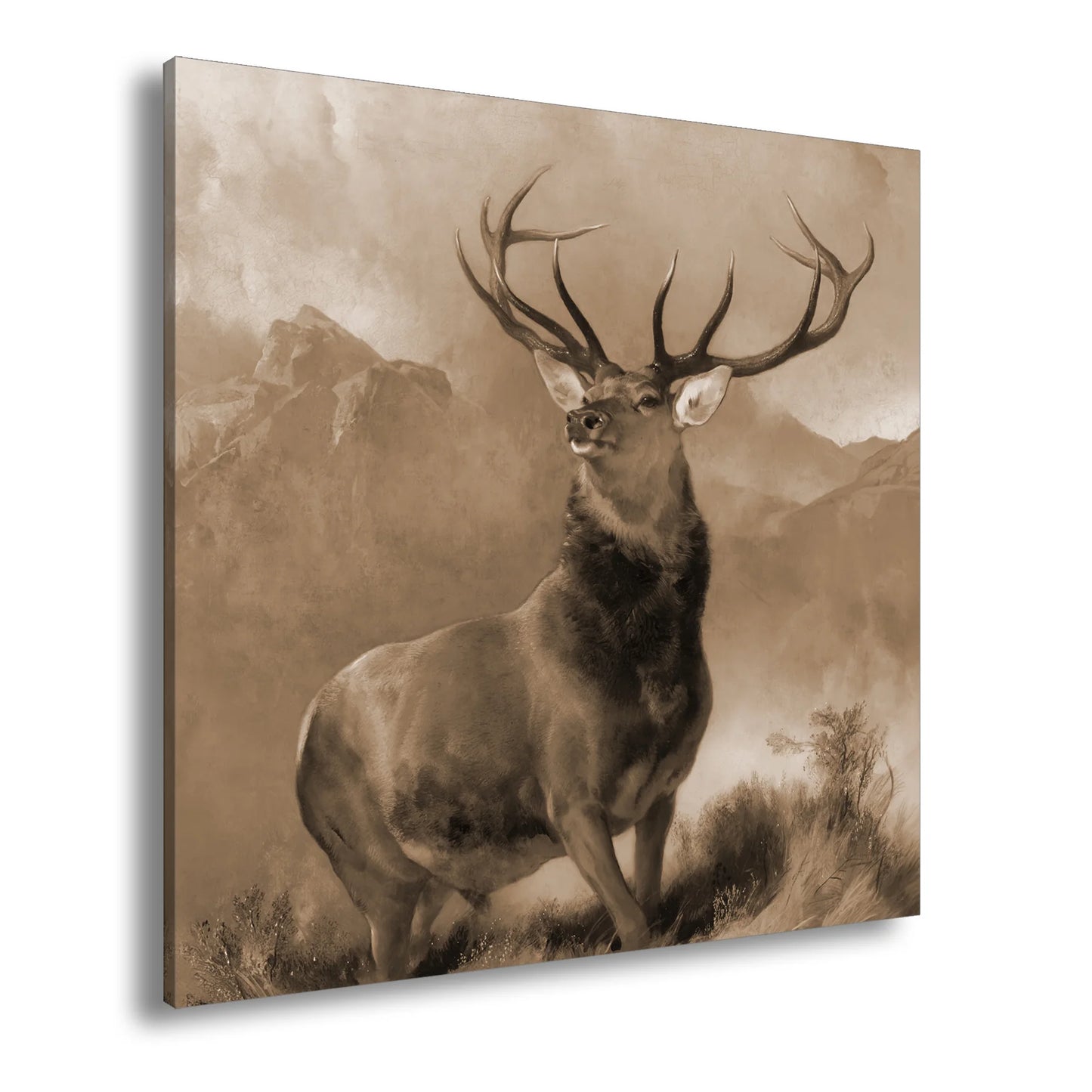 Hauptbild Sepia Quadratisch
