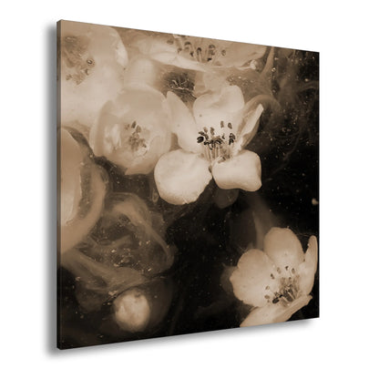 Hauptbild Sepia Quadratisch
