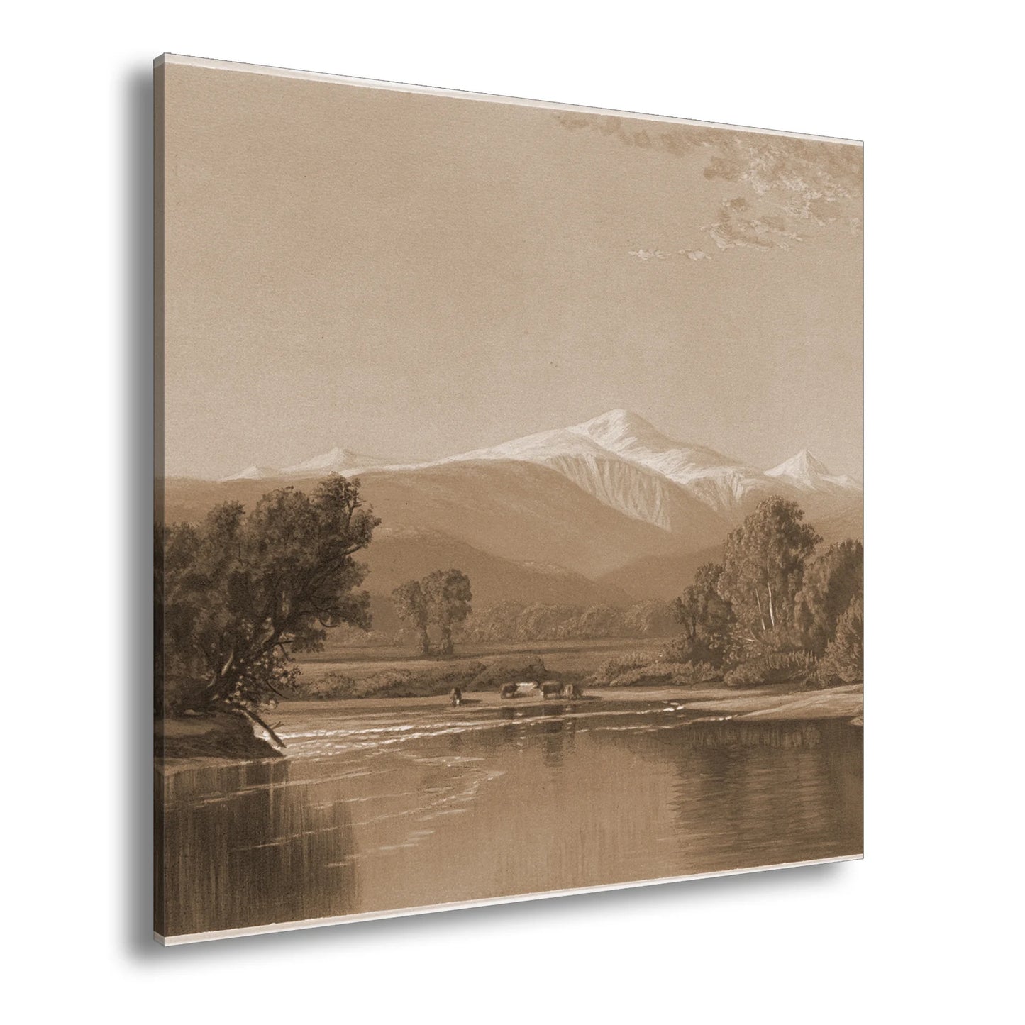Hauptbild Sepia Quadratisch