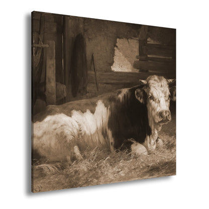 Hauptbild Sepia Quadratisch
