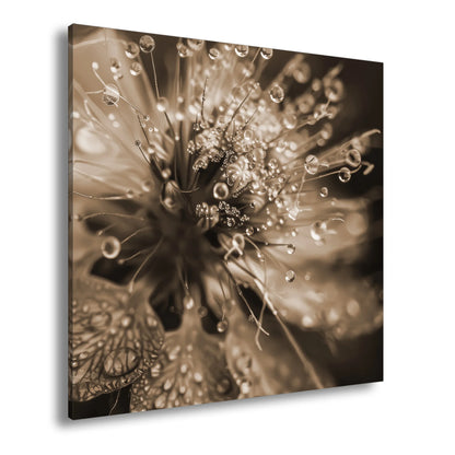 Hauptbild Sepia Quadratisch
