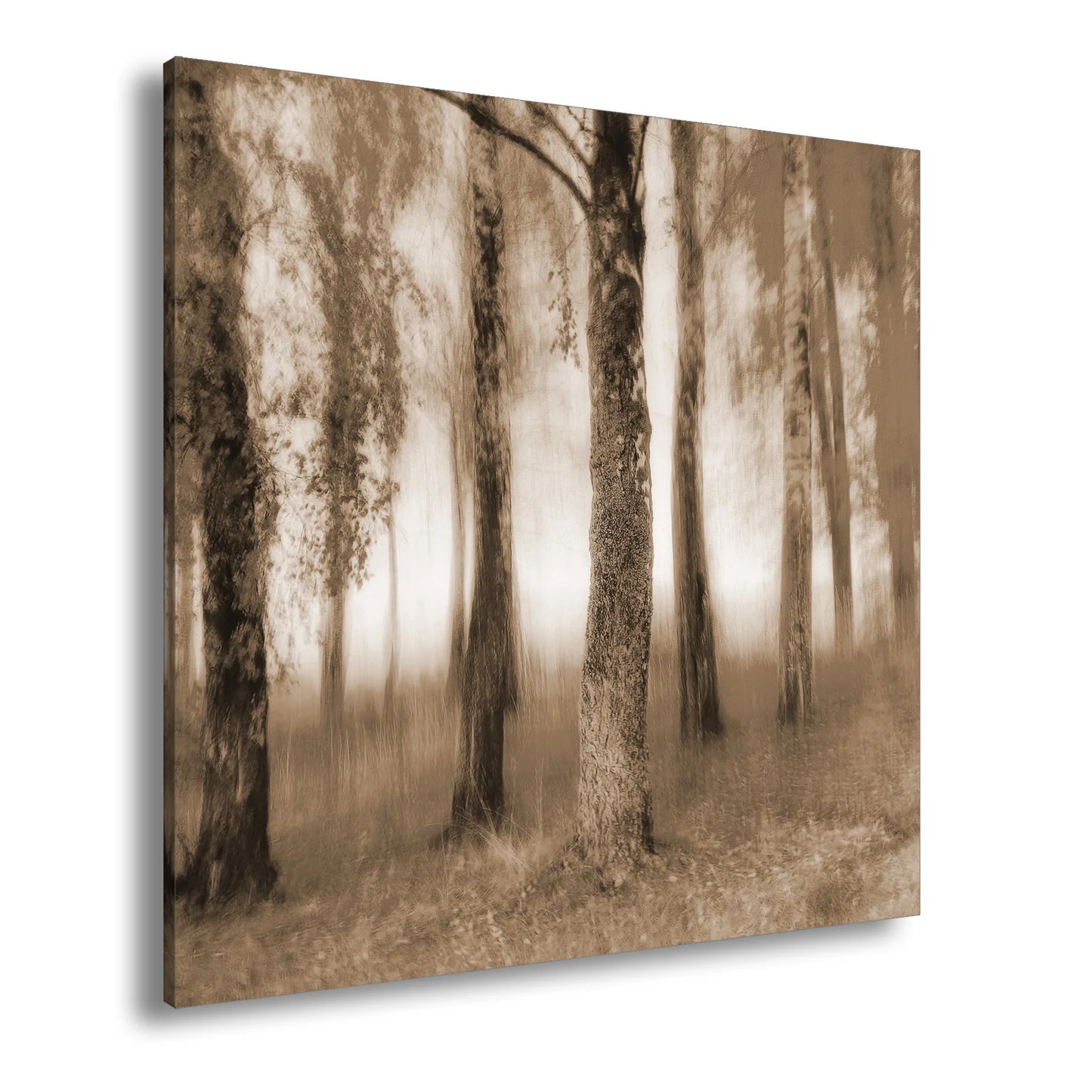 Hauptbild Sepia Quadratisch