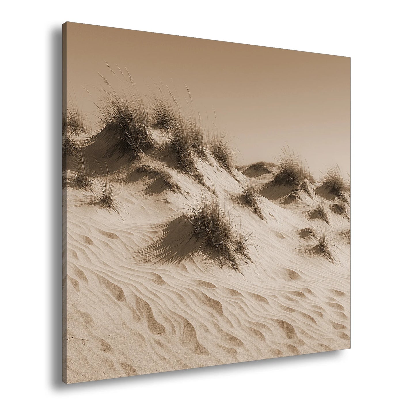 Hauptbild Sepia Quadratisch