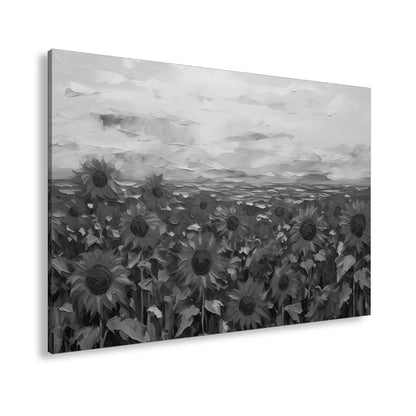 Hauptbild Schwarz & Wei? Standart