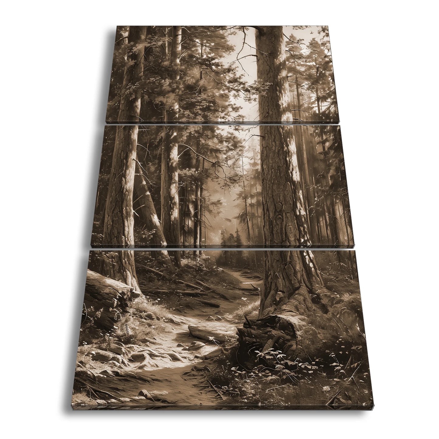 Hauptbild Sepia 3 Teilig