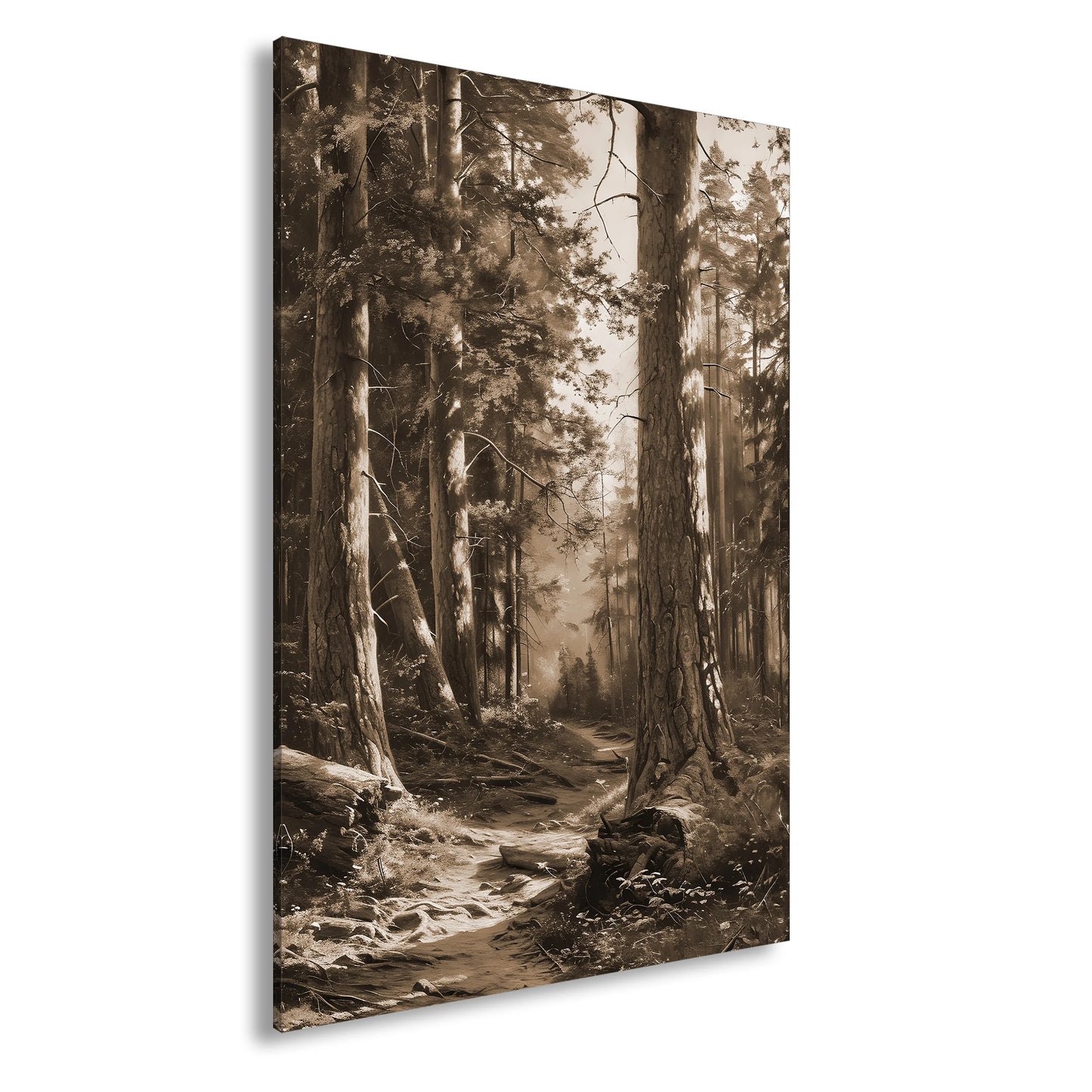 Hauptbild Sepia Standart