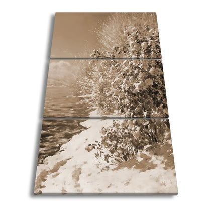 Hauptbild Sepia 3 Teilig