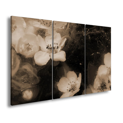 Hauptbild Sepia 3 Teilig