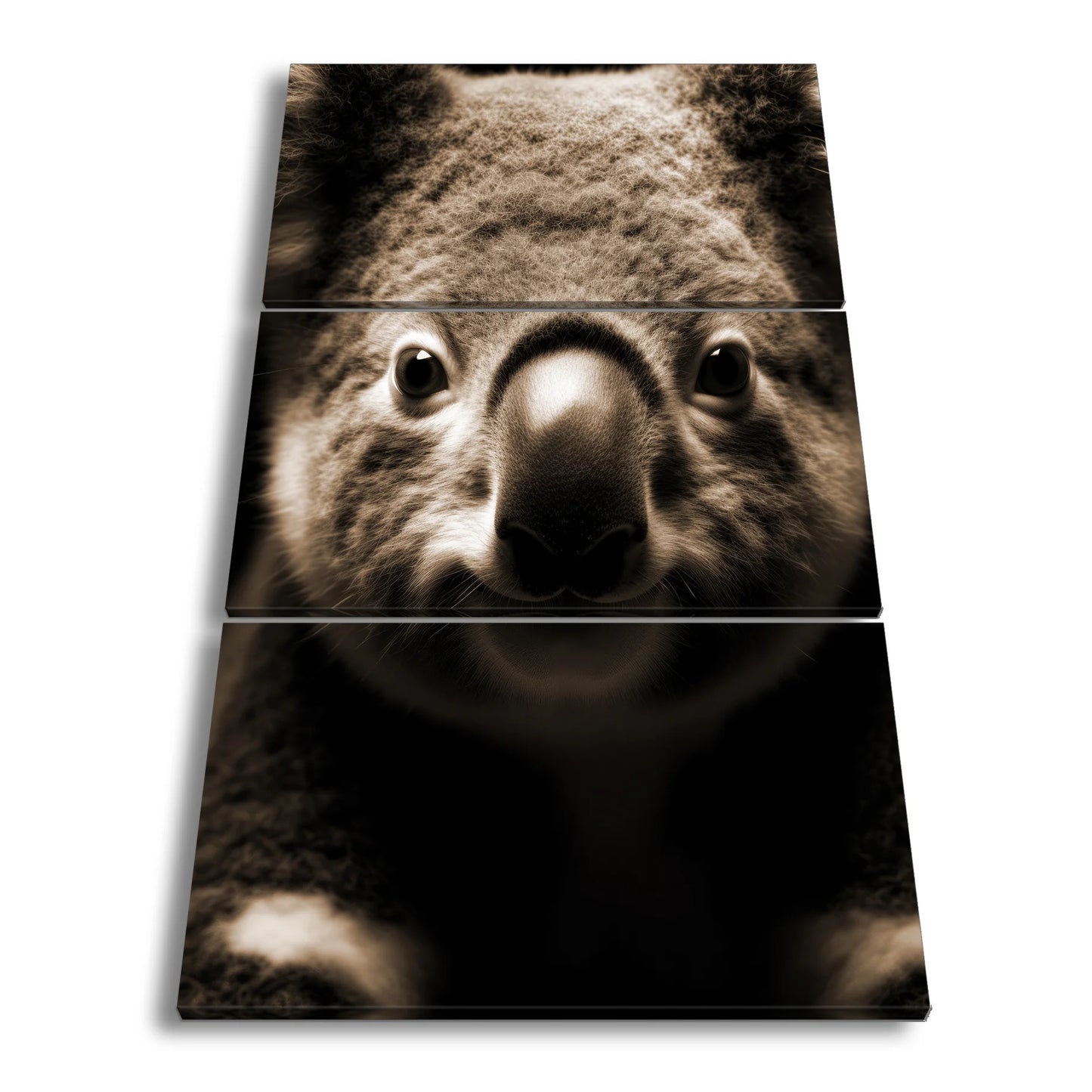 Hauptbild Sepia 3 Teilig