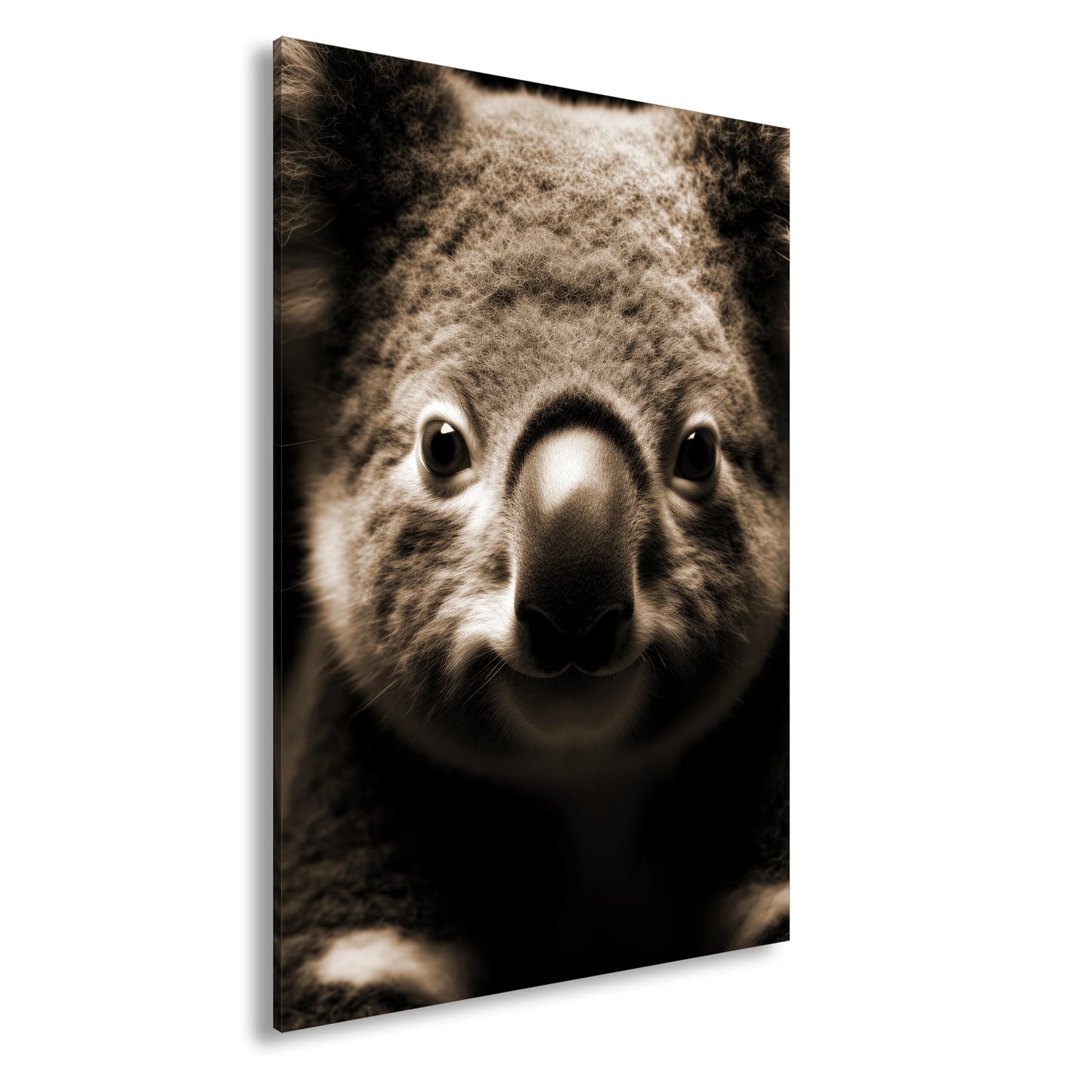 Hauptbild Sepia Standart