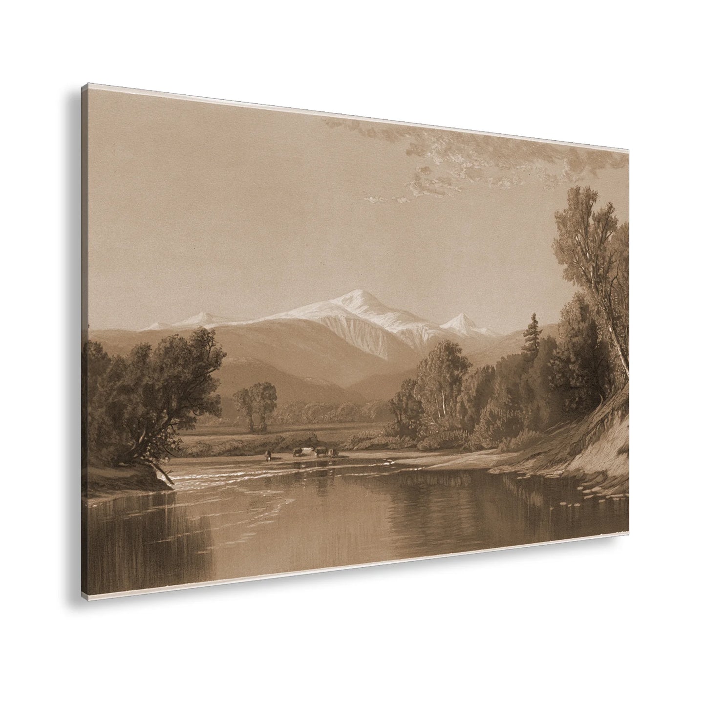 Hauptbild Sepia Standart