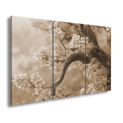 Hauptbild Sepia 3 Teilig