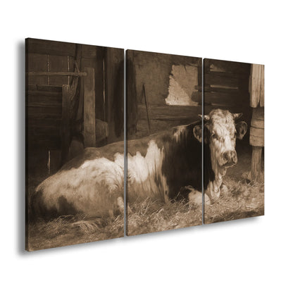 Hauptbild Sepia 3 Teilig