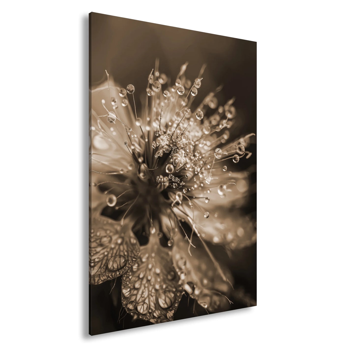 Hauptbild Sepia Standart