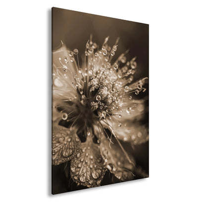 Hauptbild Sepia Standart