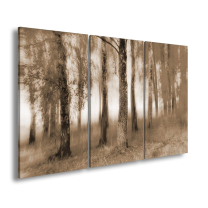 Hauptbild Sepia 3 Teilig