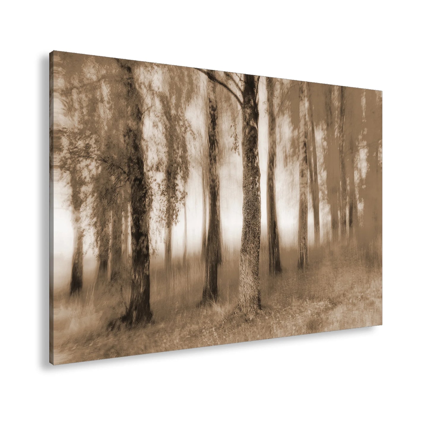 Hauptbild Sepia Standart