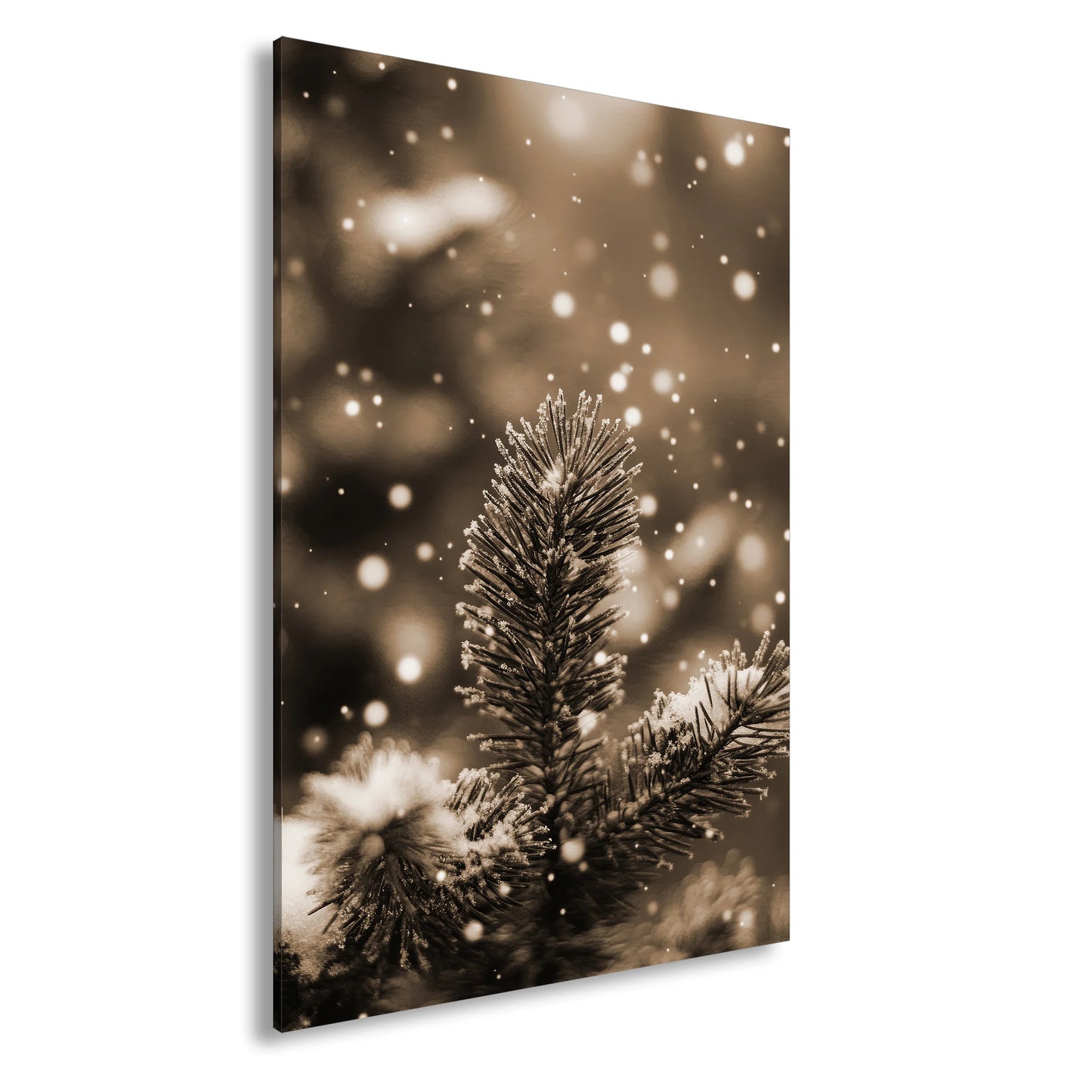 Hauptbild Sepia Standart