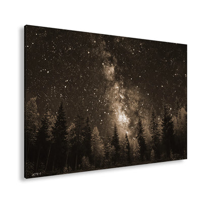 Hauptbild Sepia Standart