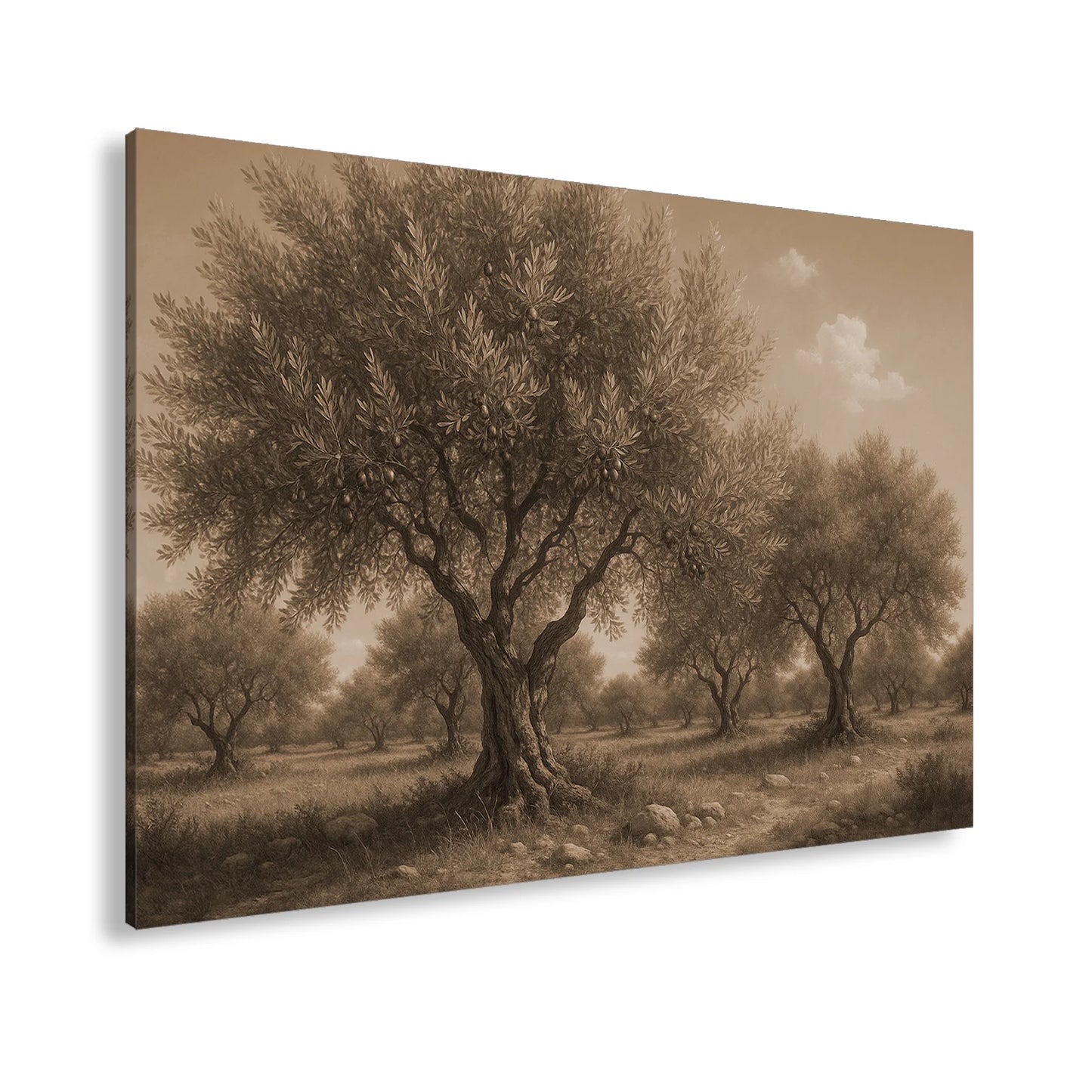 Hauptbild Sepia Standart
