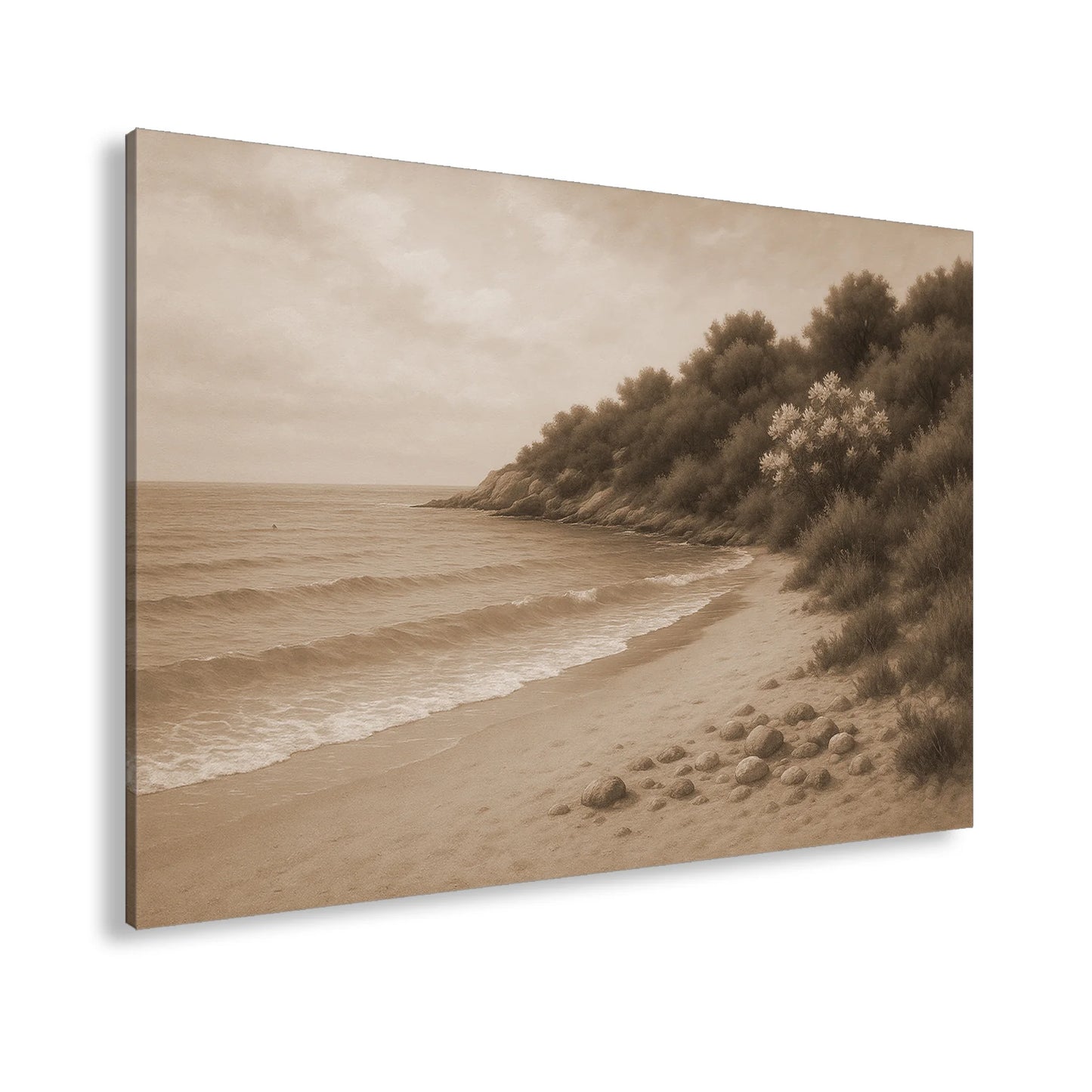 Hauptbild Sepia Standart
