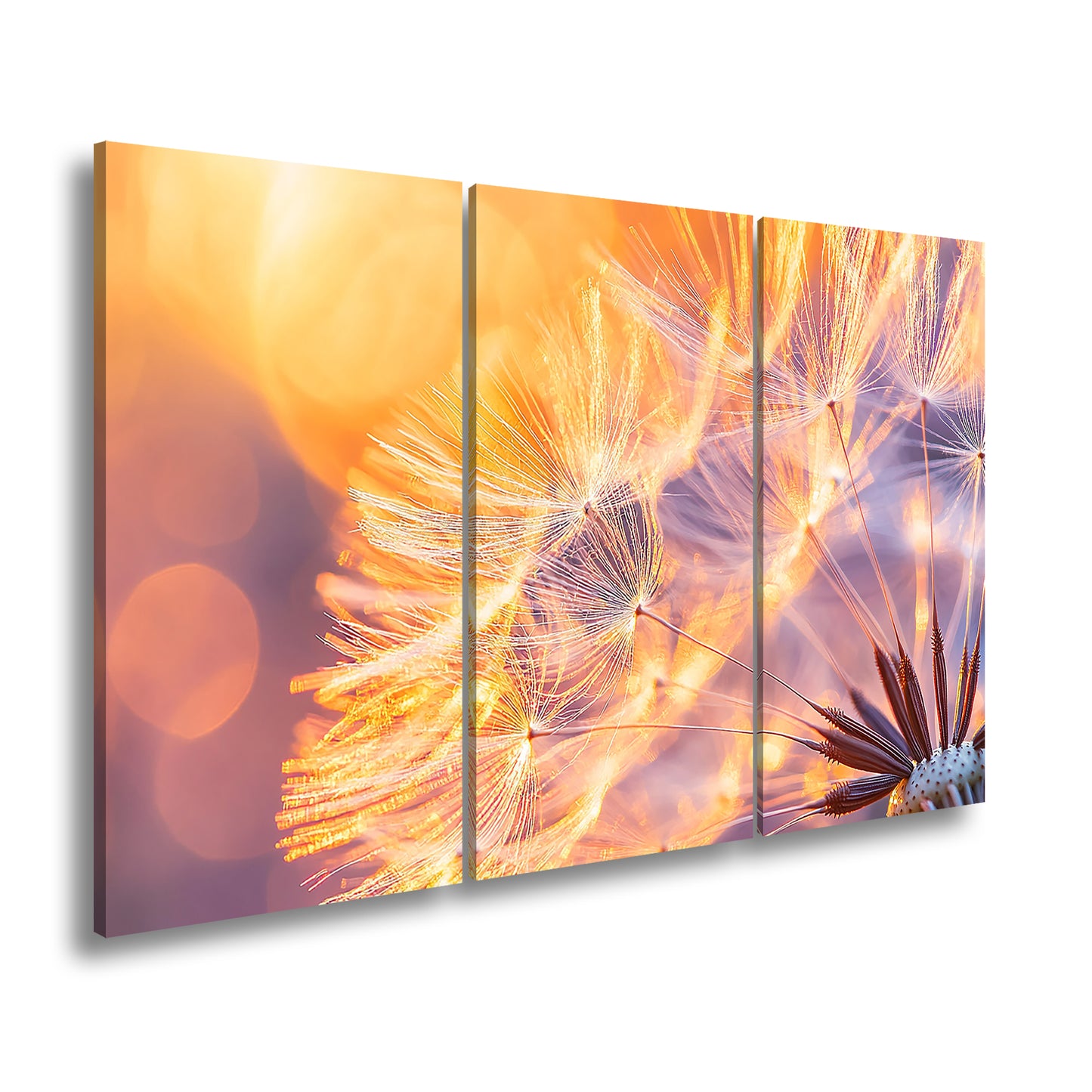 Hauptbild Farbig 3 Teilig