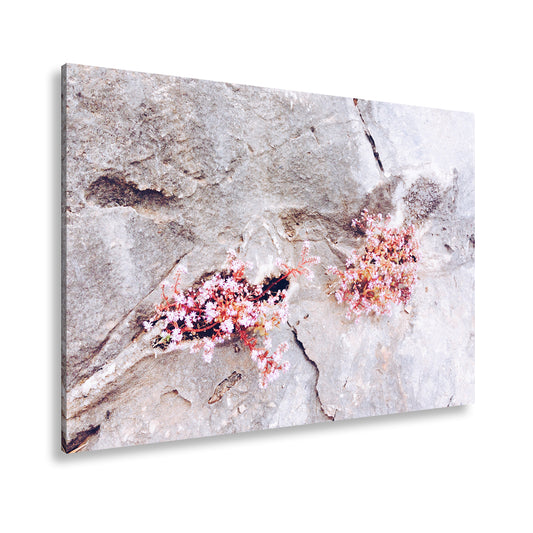 Hauptbild Farbig Standart