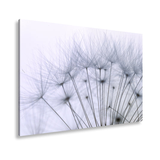 Hauptbild Farbig Standart