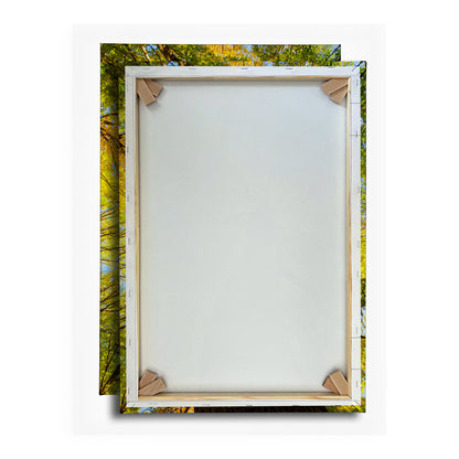 Vorschaubild Rückwand