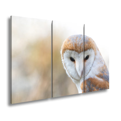 Hauptbild Farbig 3 Teilig