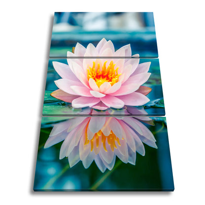 Hauptbild Farbig 3 Teilig