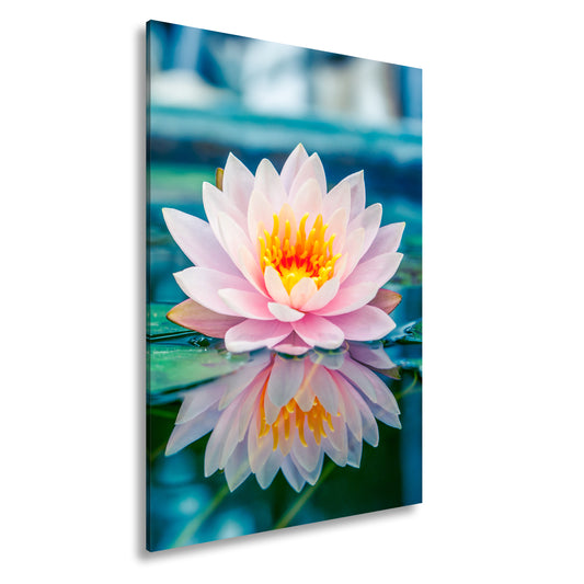 Hauptbild Farbig Standart