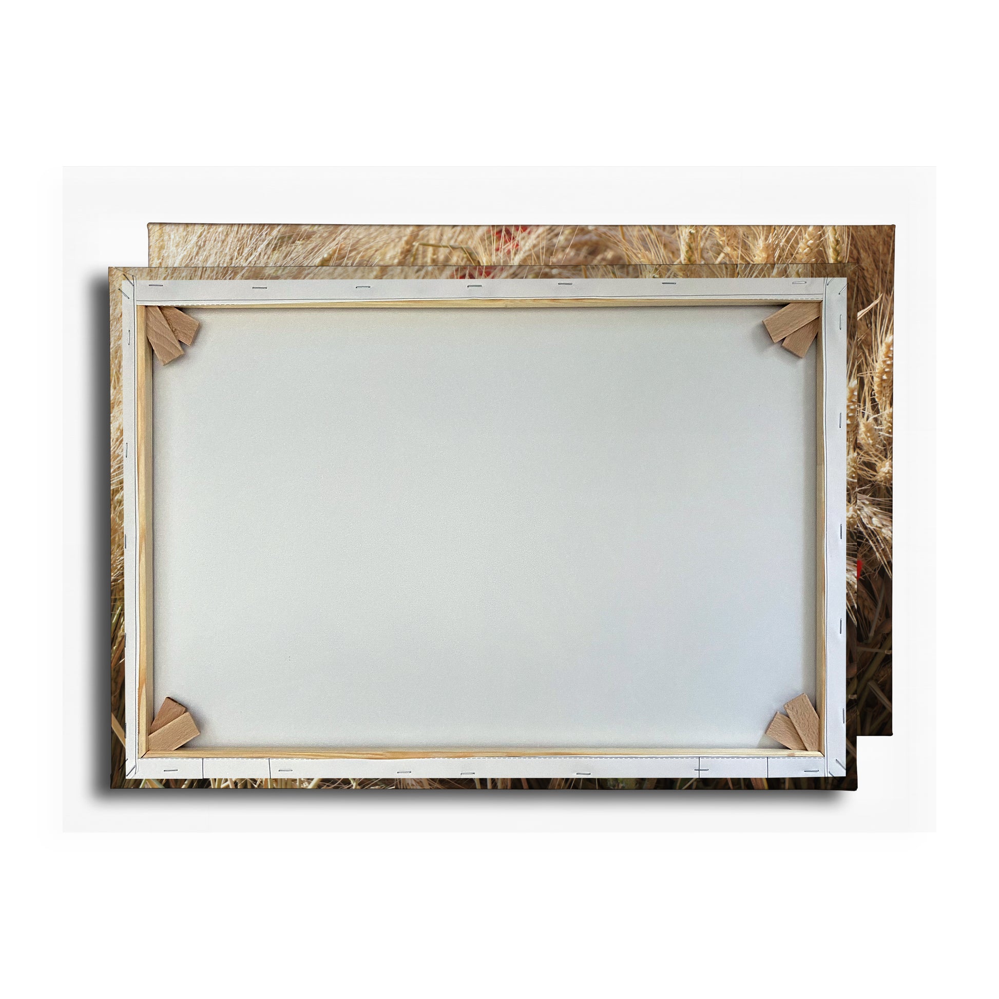 Vorschaubild Rückwand