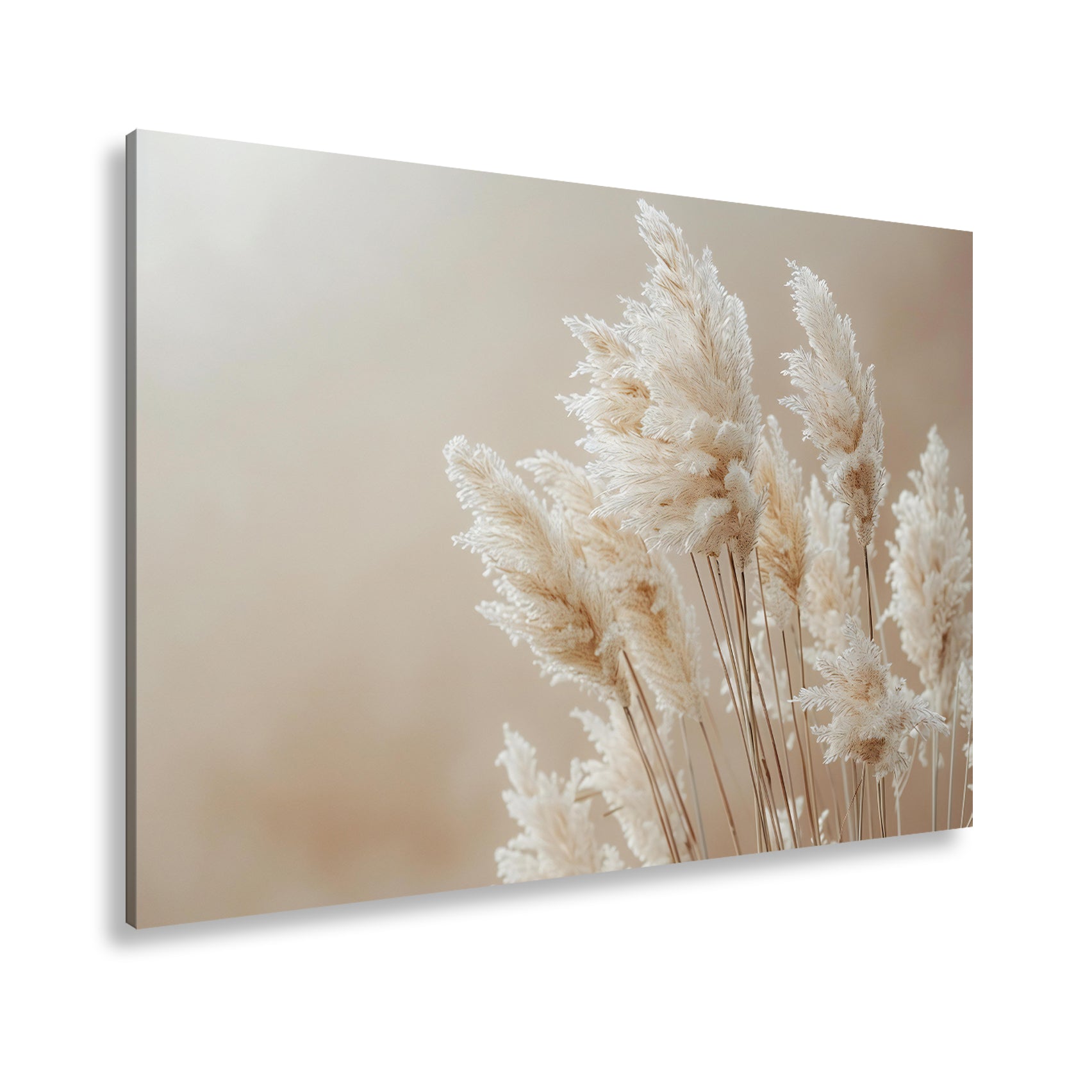 Hauptbild Farbig Standart